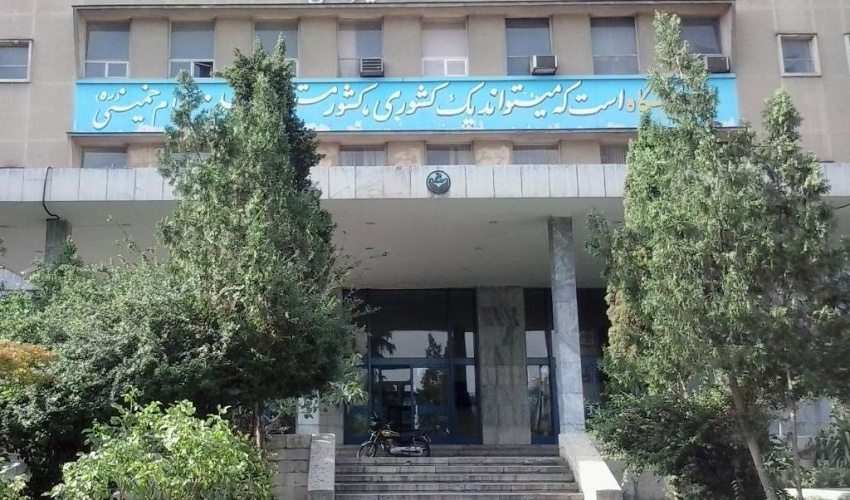 بازدید معاون اداری و مالی دانشگاه از دانشکده دامپزشکی و بیمارستان دام‌های کوچک